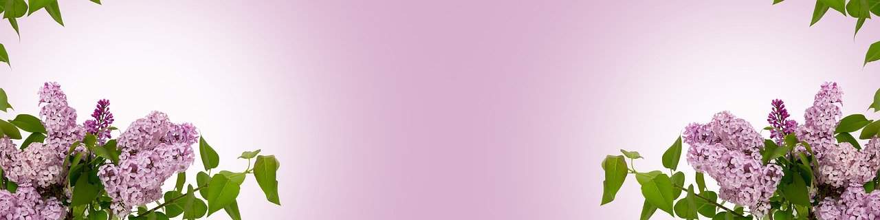 Derecho De Multipropiedad Renuncia