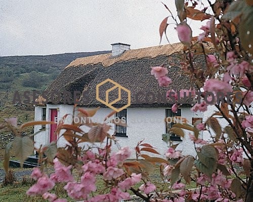 Connemara Country Cottages 1 0385E01L