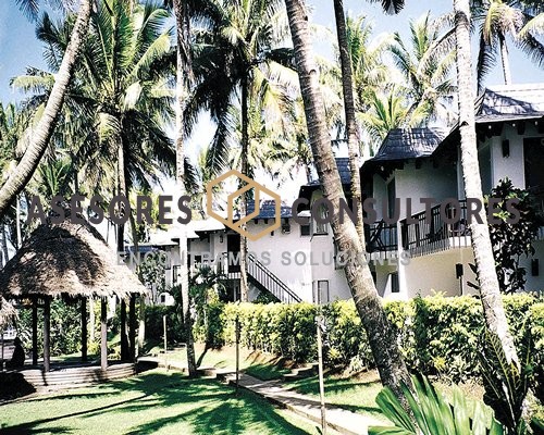 Fiji Palms 1 0676E01L