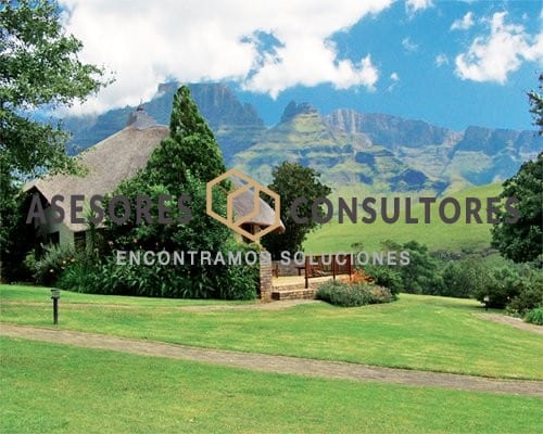 Champagne Lane 1 2258E01L