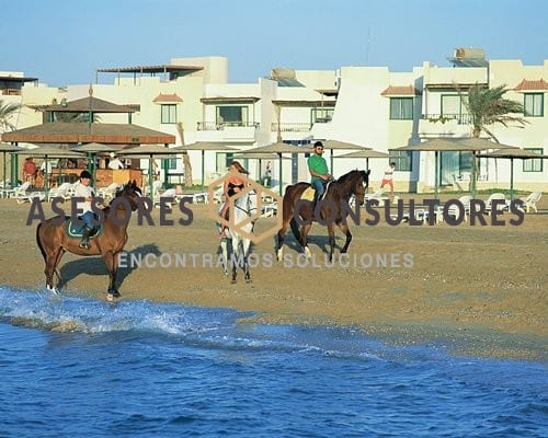 Royal Beach Resort 1 3075E01L