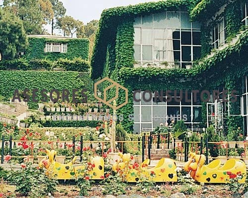 Timber Trail Heights 7 5195E01L